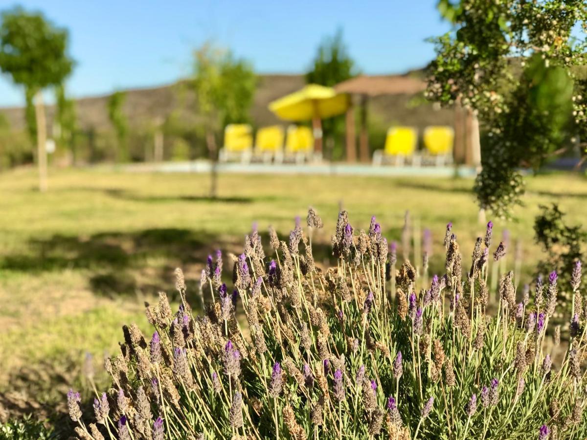 Cabanas Econature Valle Grande  外观 照片