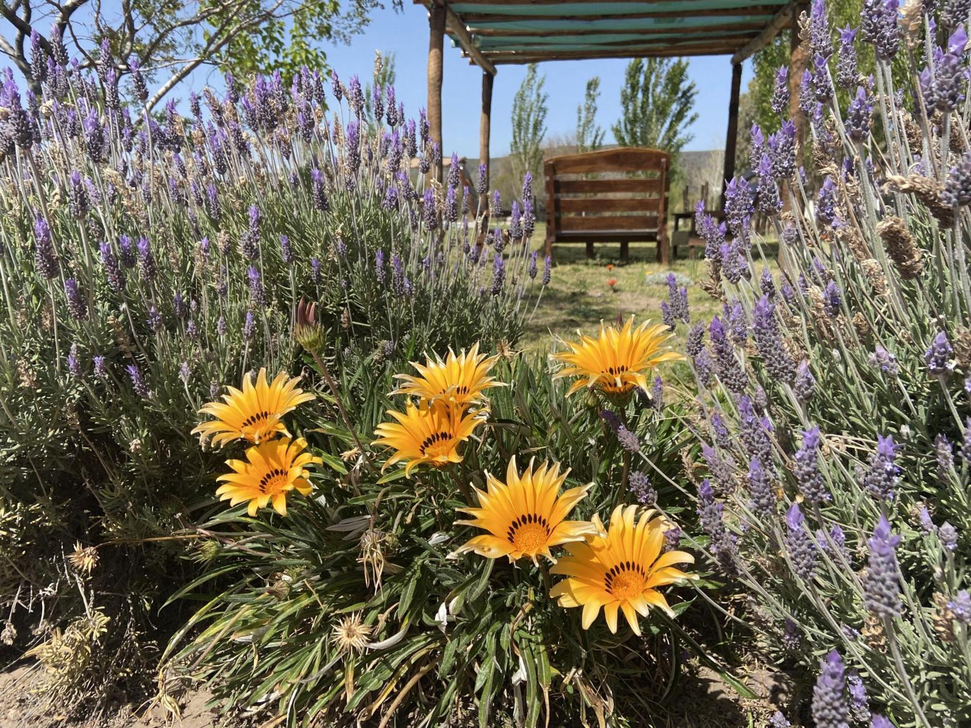 Cabanas Econature Valle Grande  外观 照片